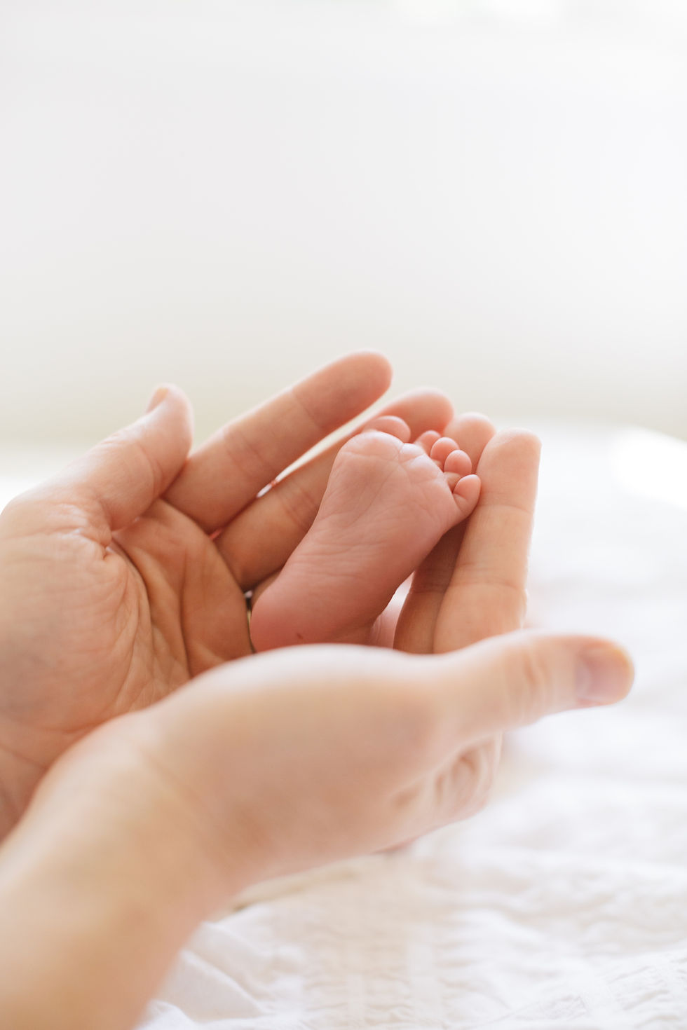 adult holding newborn's foot